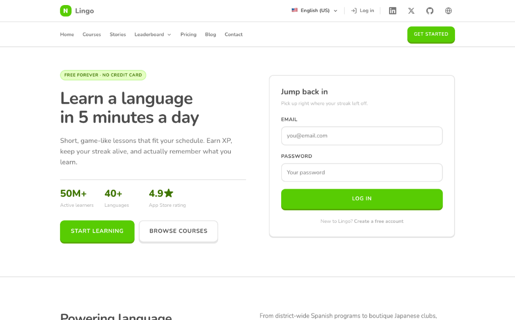 Lingo 模板示例截图
